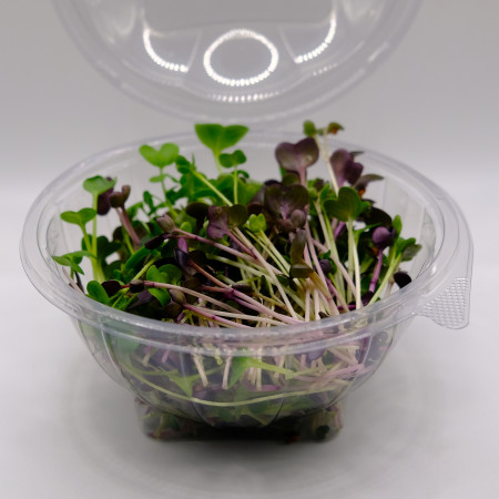 Микрозелень редиса