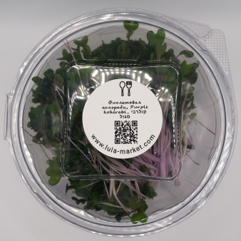 Microgreens Purple Collard - טרי ואיכותי