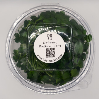 Daikon Microgreens (Japanese Radish) - בריא וטעים